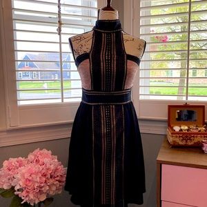 Venus Black and Rose Lace Dress